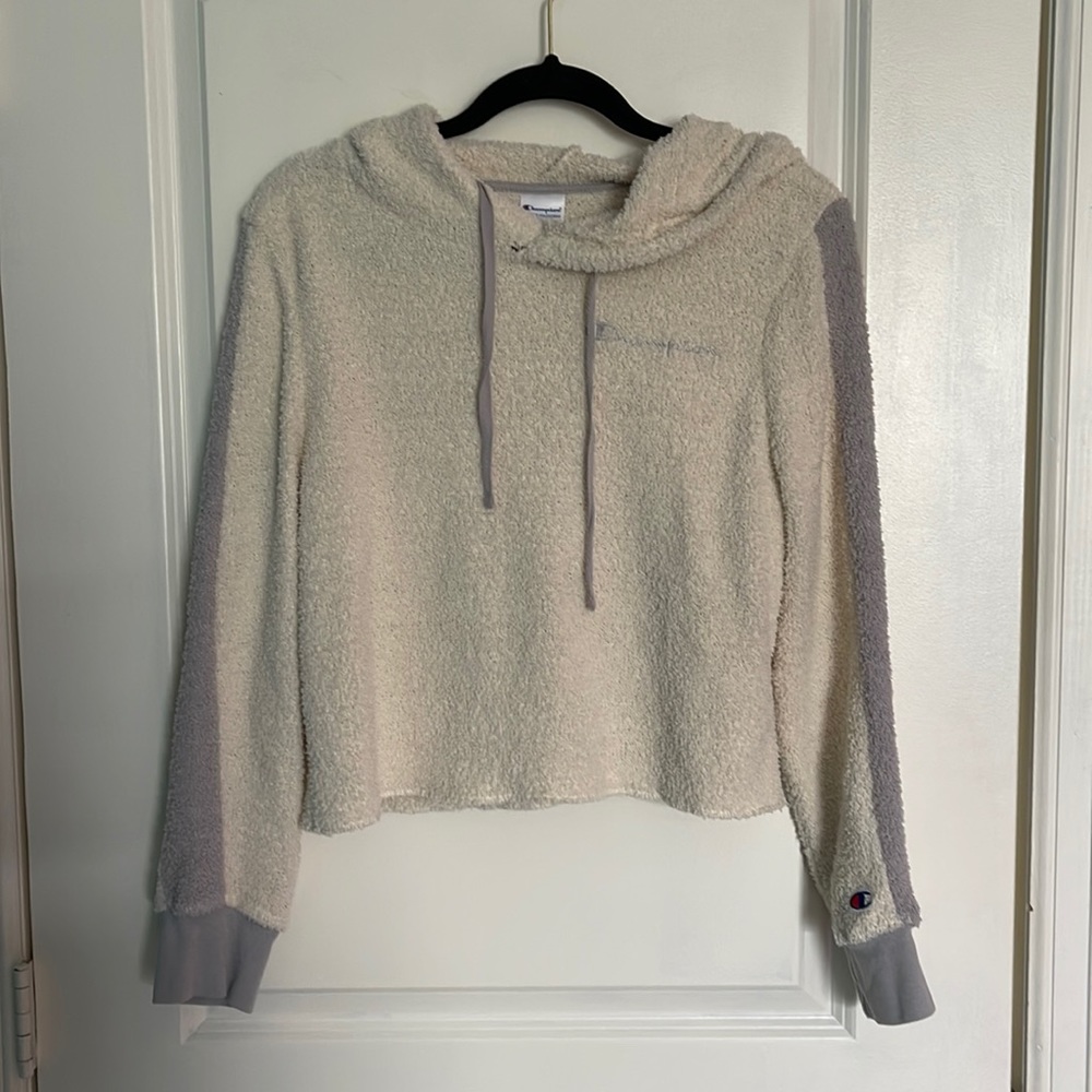 Champion Crop Top Hoodie